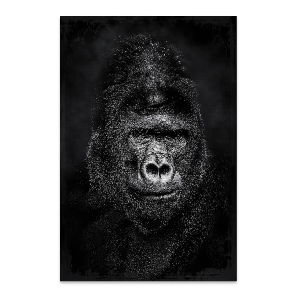 Gorilla Abstrakt Black Style AluDibond Gebürstet INGALERIE