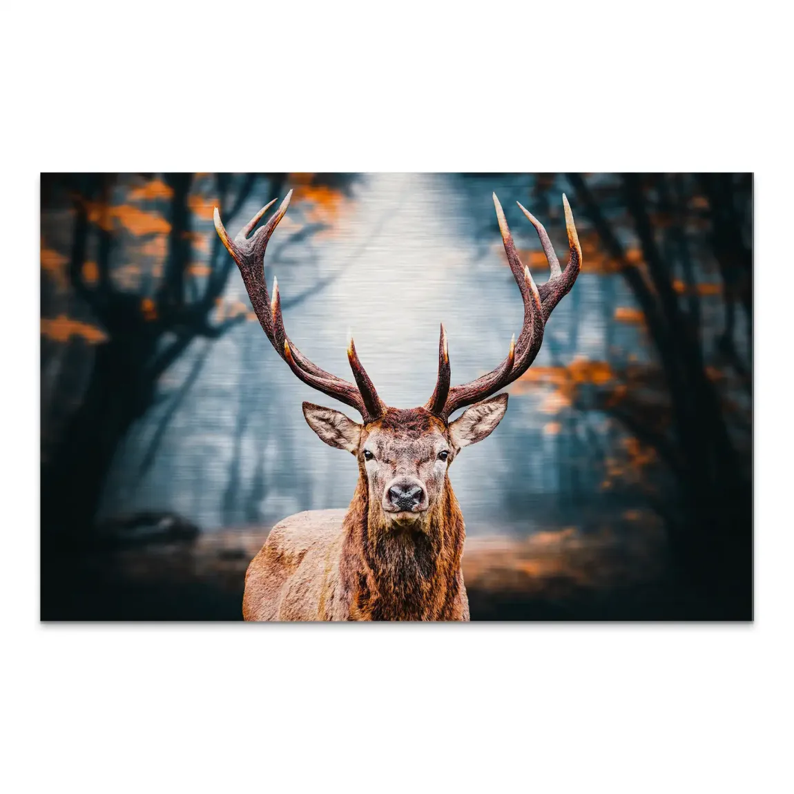 Hirsch im Wald Aluminiumbild gebürstet