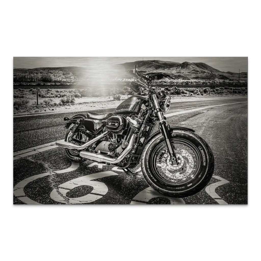 Route Heritage Edition – Harley Alu gebürstet Bild INGALERIE