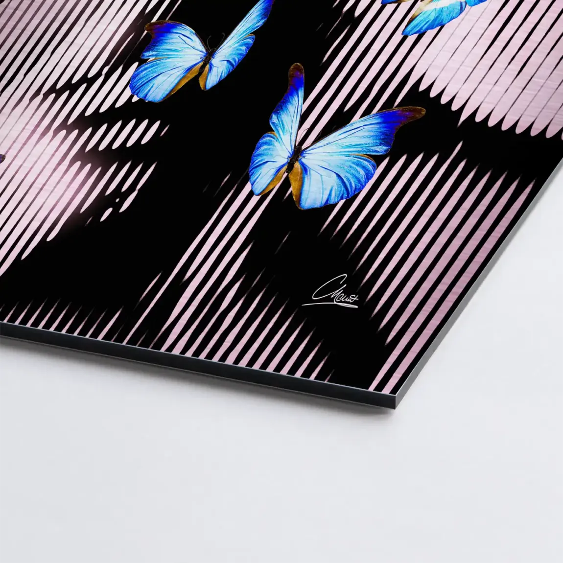 Silent Butterfly Aludibond Gebürstet INGALERIE