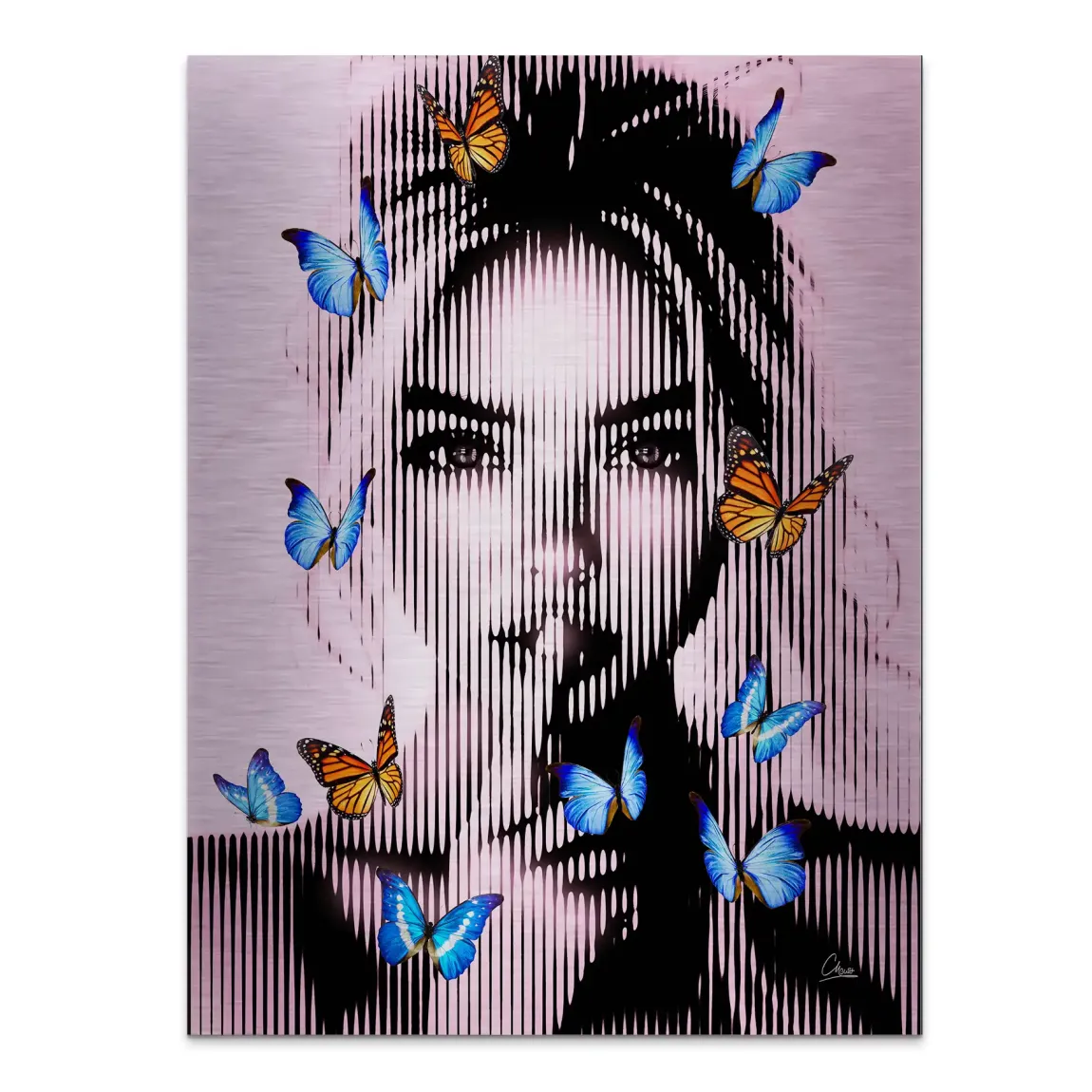 Silent Butterfly Aludibond Gebürstet INGALERIE