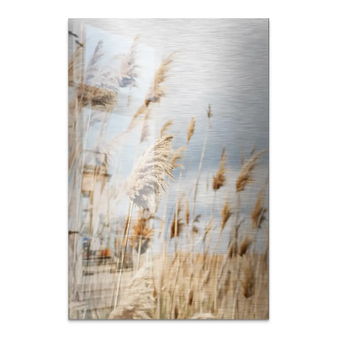 Whispering Reeds Alu Dibond Bild gebürstet - INGALERIE | Dein Onlineshop für moderne Wandbilder