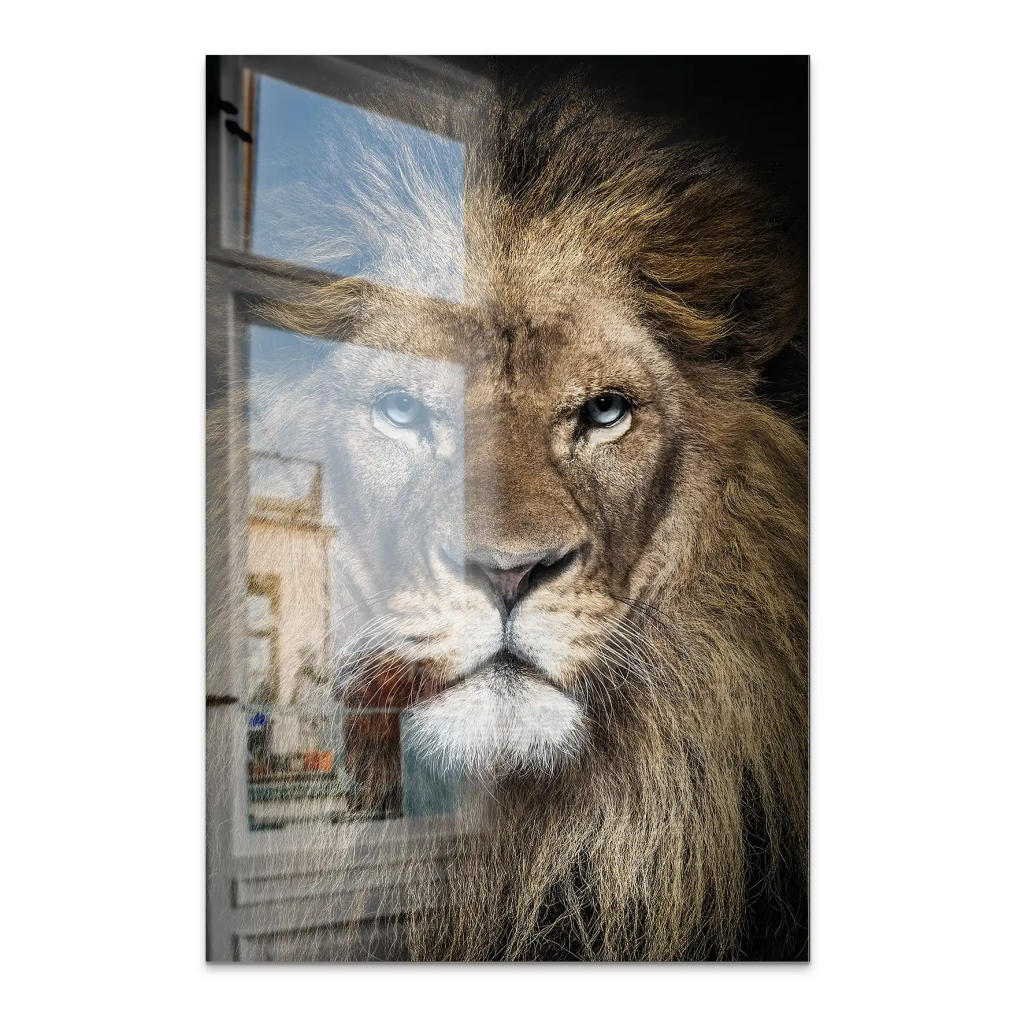 Lion Portrait AluDibond Gebürstet INGALERIE