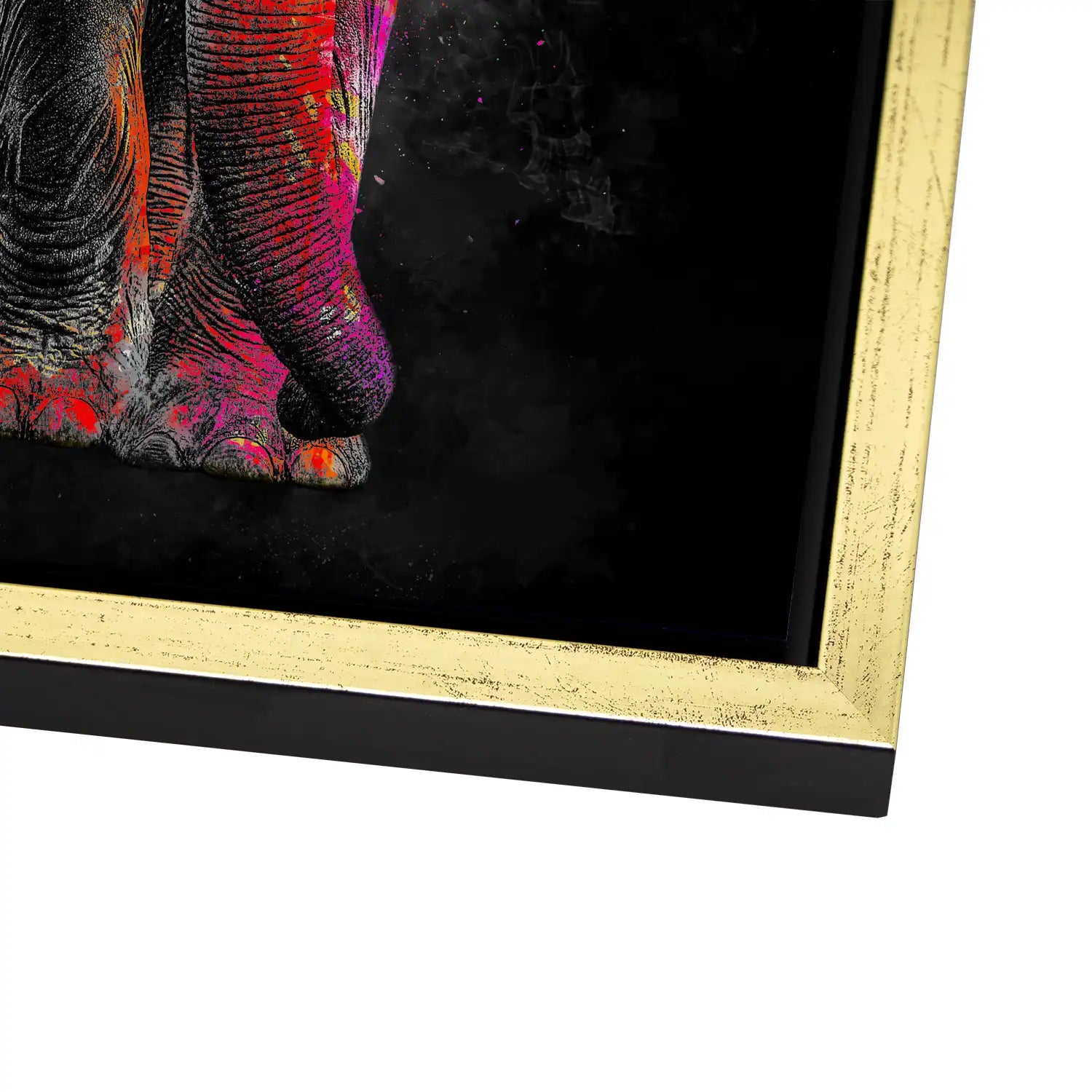 Elefant Color Style AluDibond Bild INGALERIE