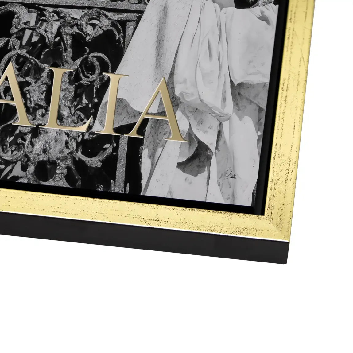 Bella Donna Noir Alu Dibond Bild