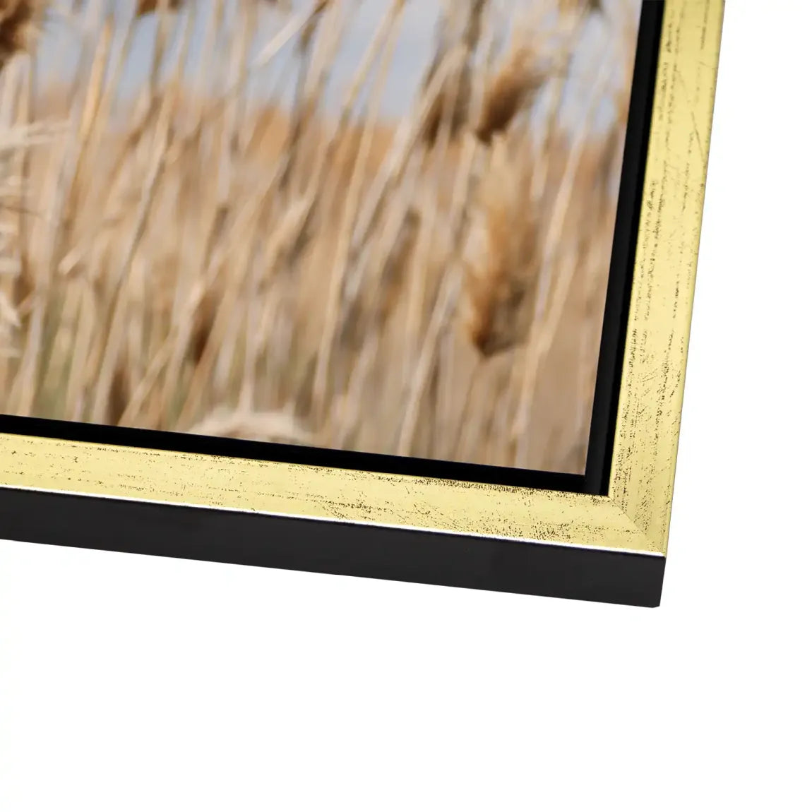 Whispering Reeds Alu Dibond Bild gebürstet - INGALERIE | Dein Onlineshop für moderne Wandbilder