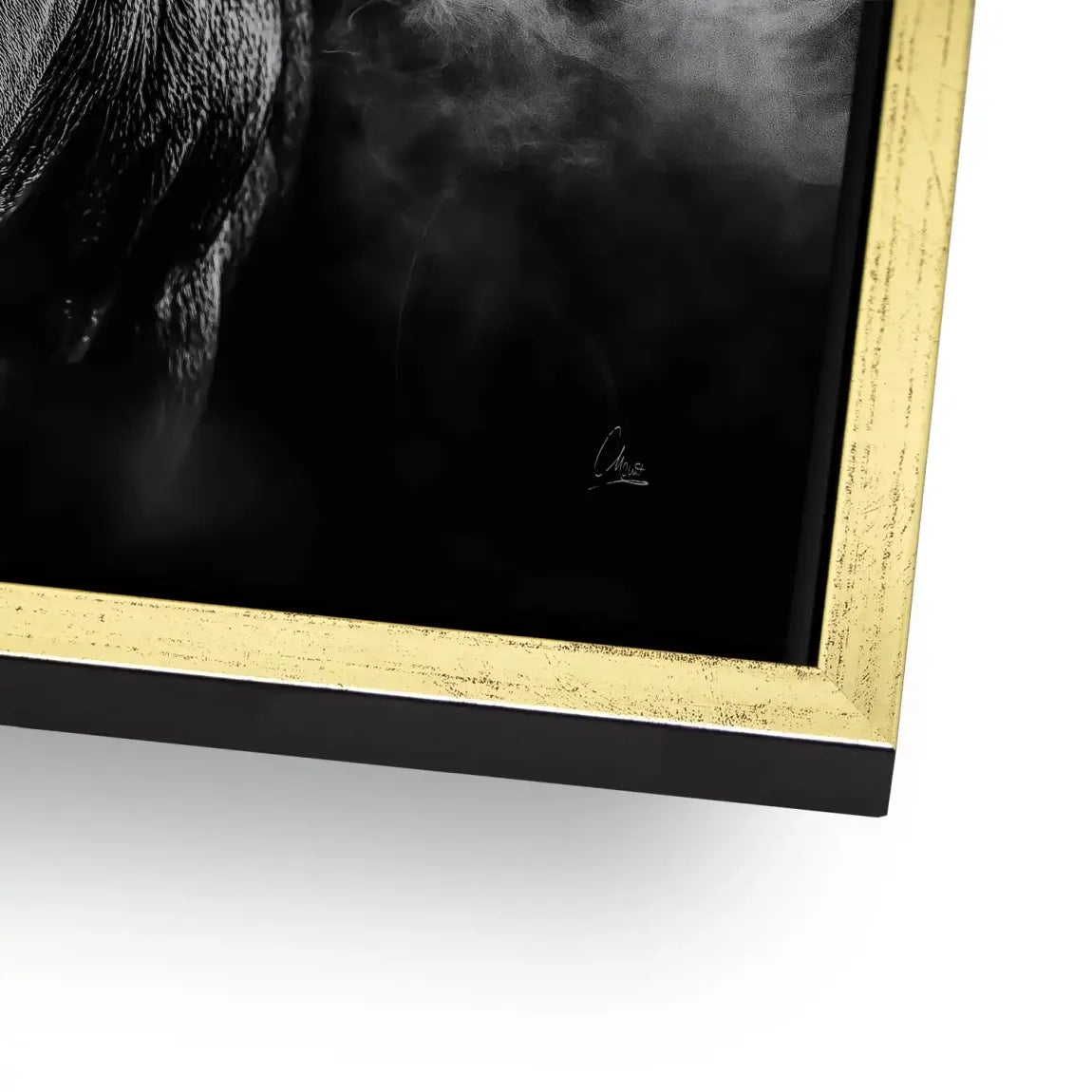 Black Bull Vision Alu Dibond Bild