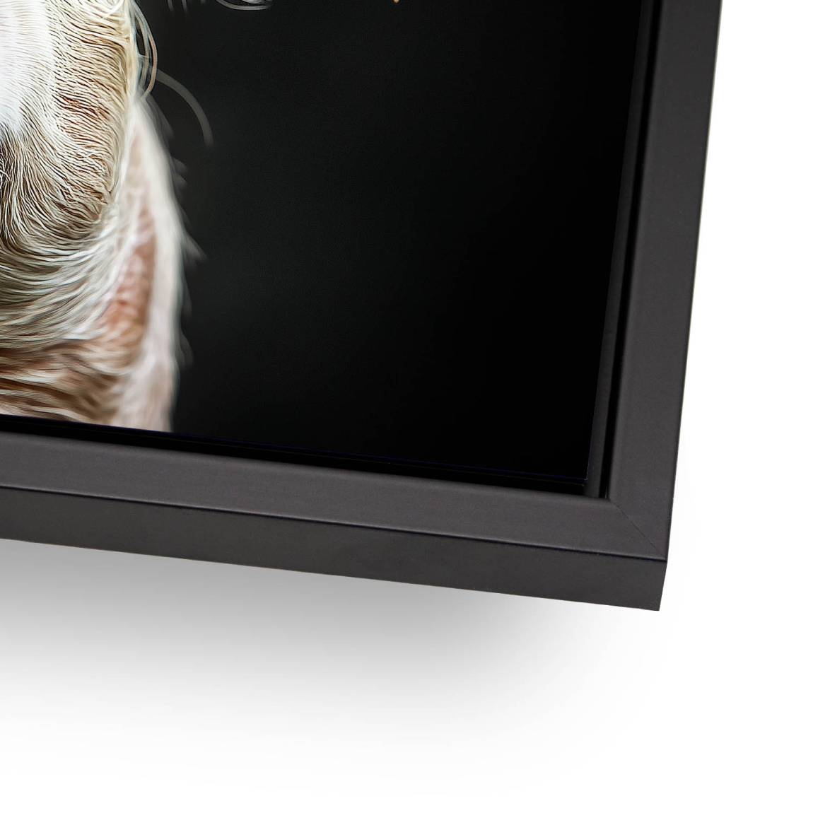 Blüten Schwein AluDibond Bild