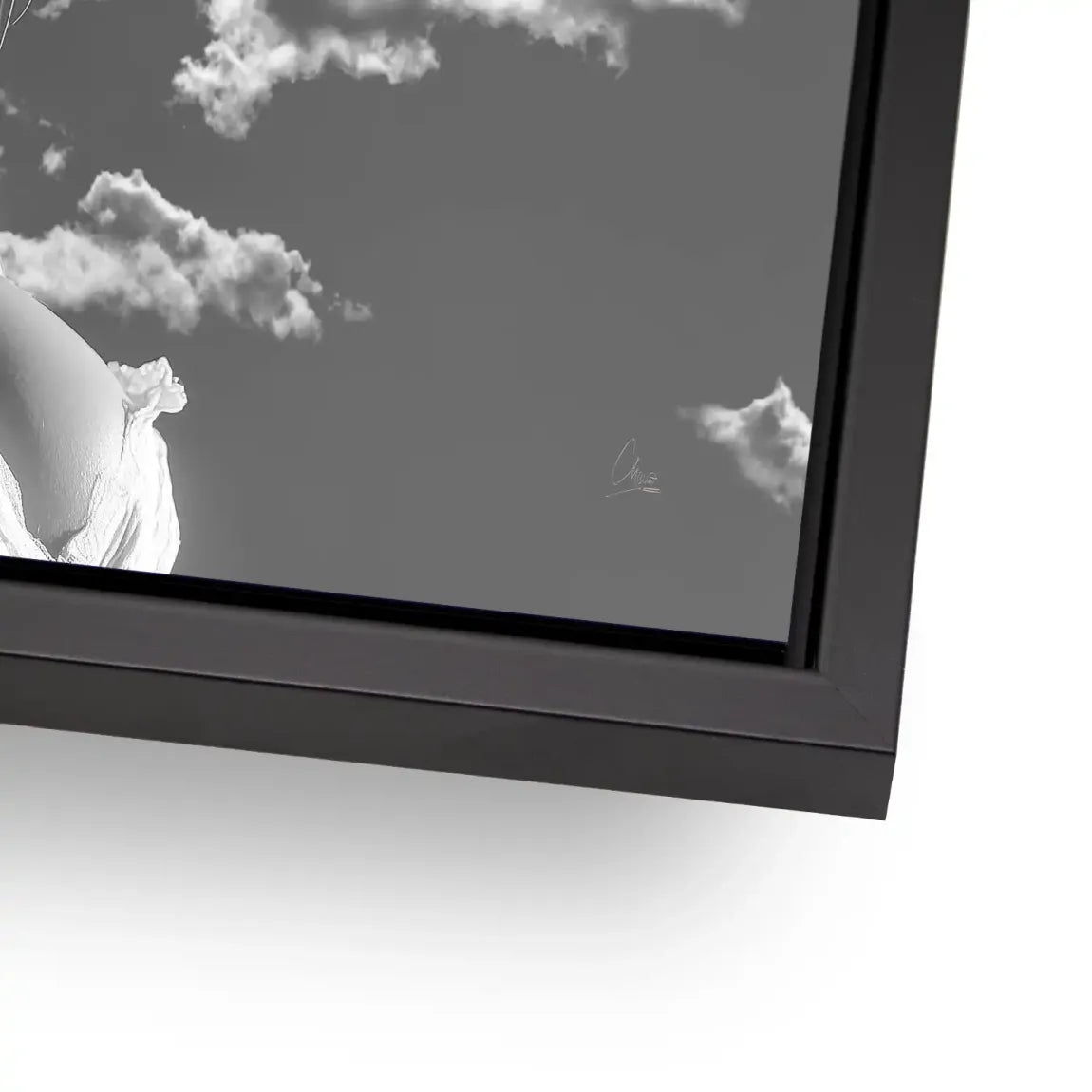 Sky Bloom AluDibond Bild