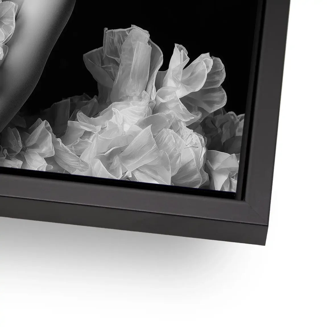 Soft Allure Erotik AluDibond Bild