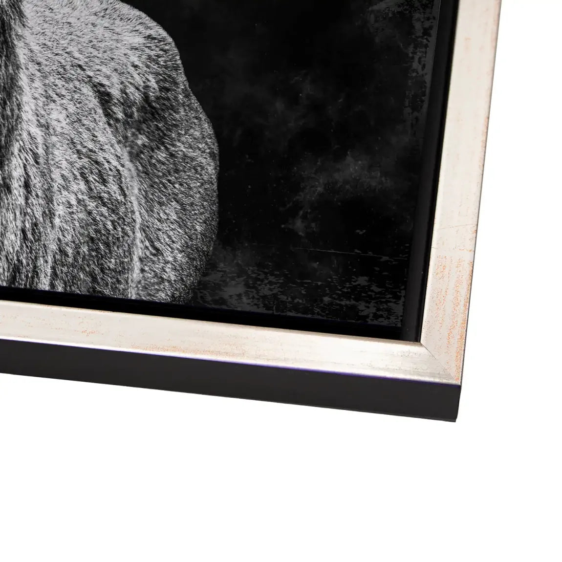 Edler Hirsch Alu Dibond Wandbild