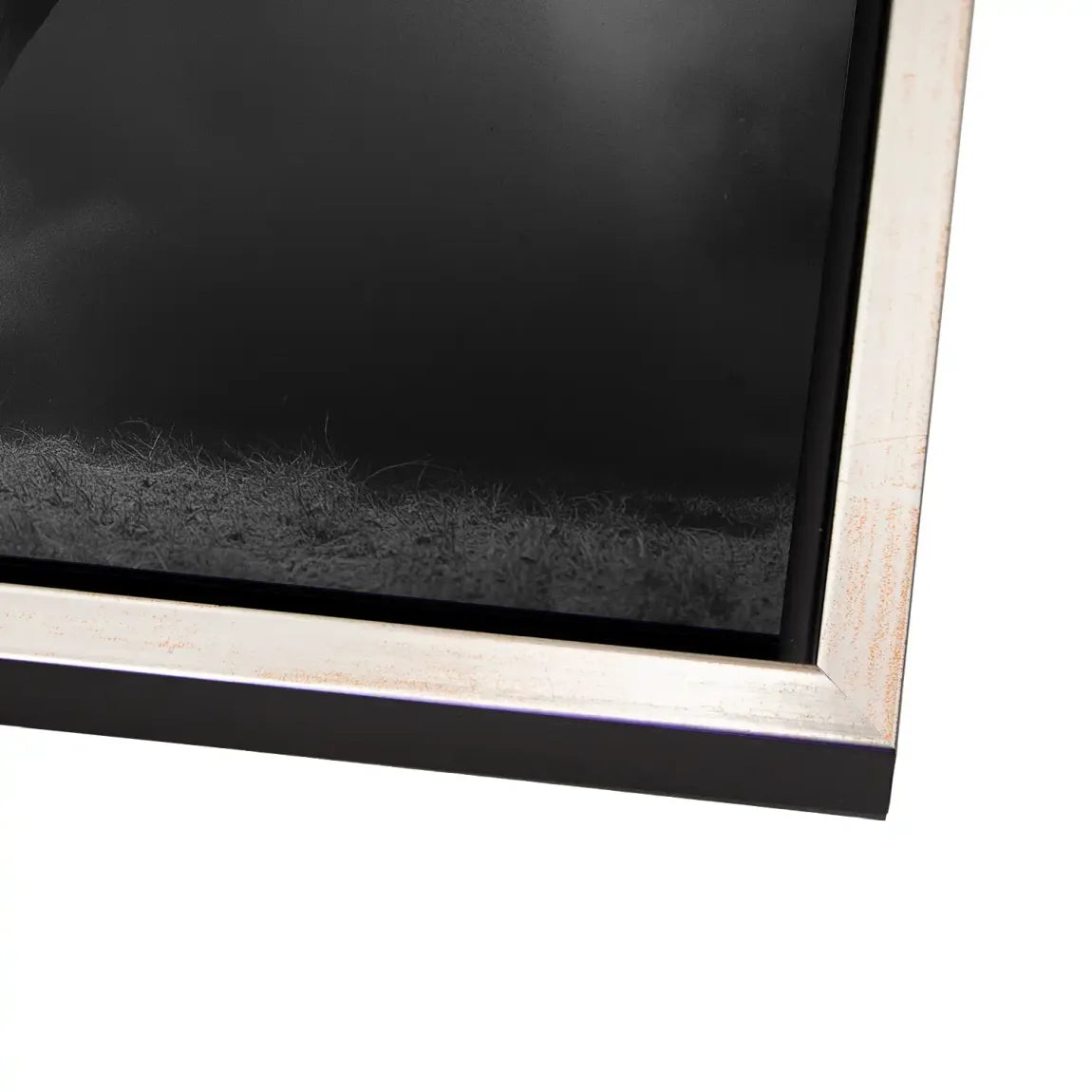 Stier Noir Alu Dibond Wandbild
