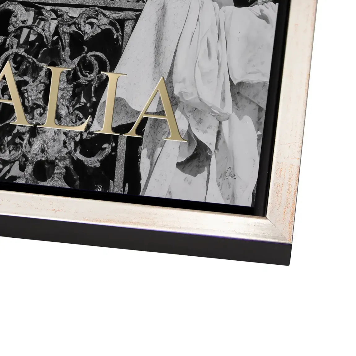 Bella Donna Noir Alu Dibond Bild