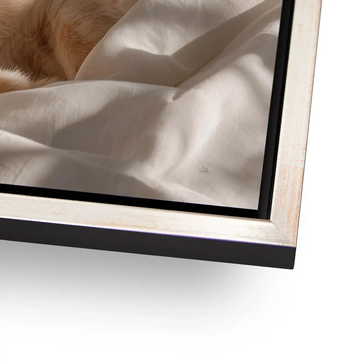 Schlafender Löwe AluDibond Wandbild