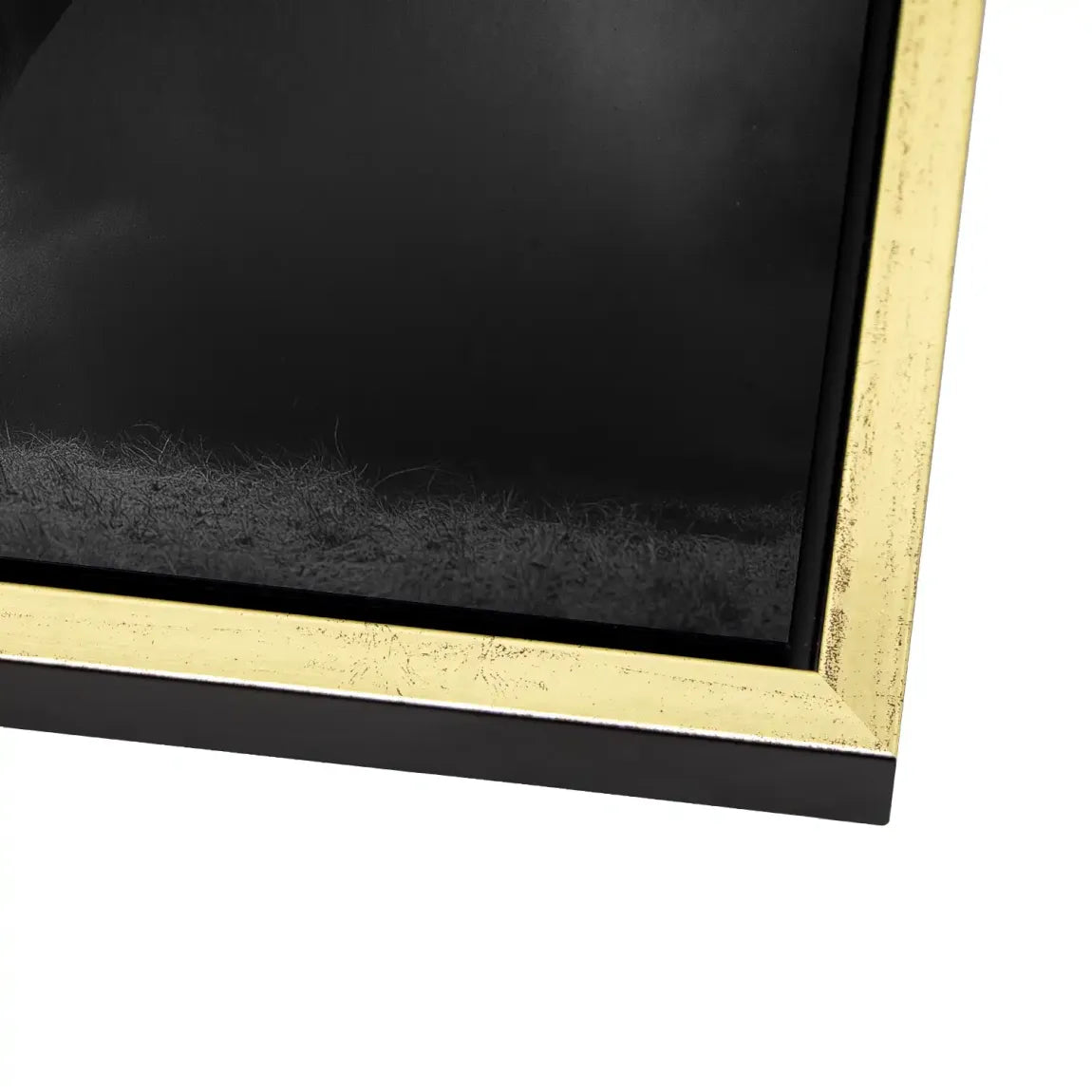 Stier Noir Aluminiumbild gebürstet