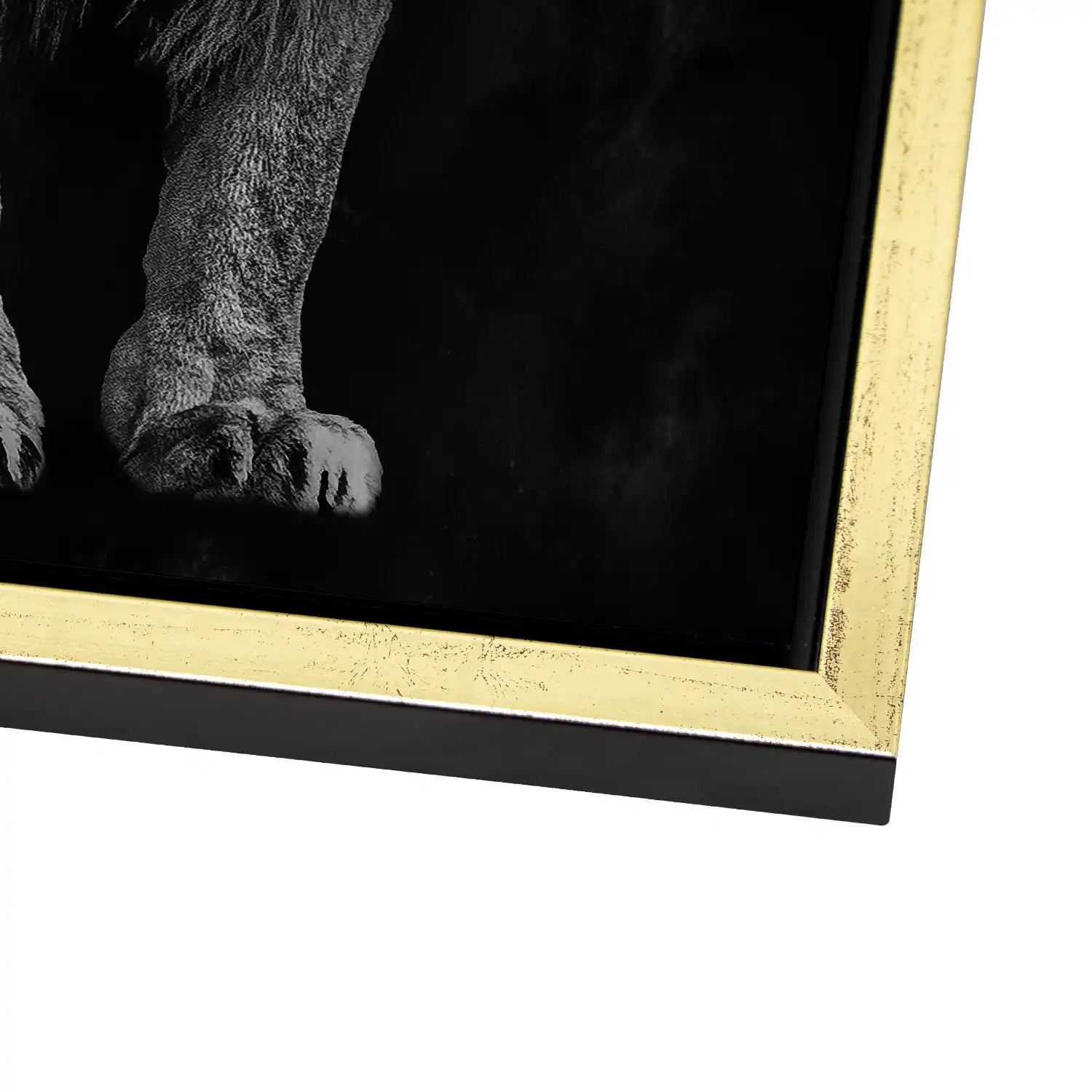 Lion Black Style AluDibond Gebürstet - INGALERIE