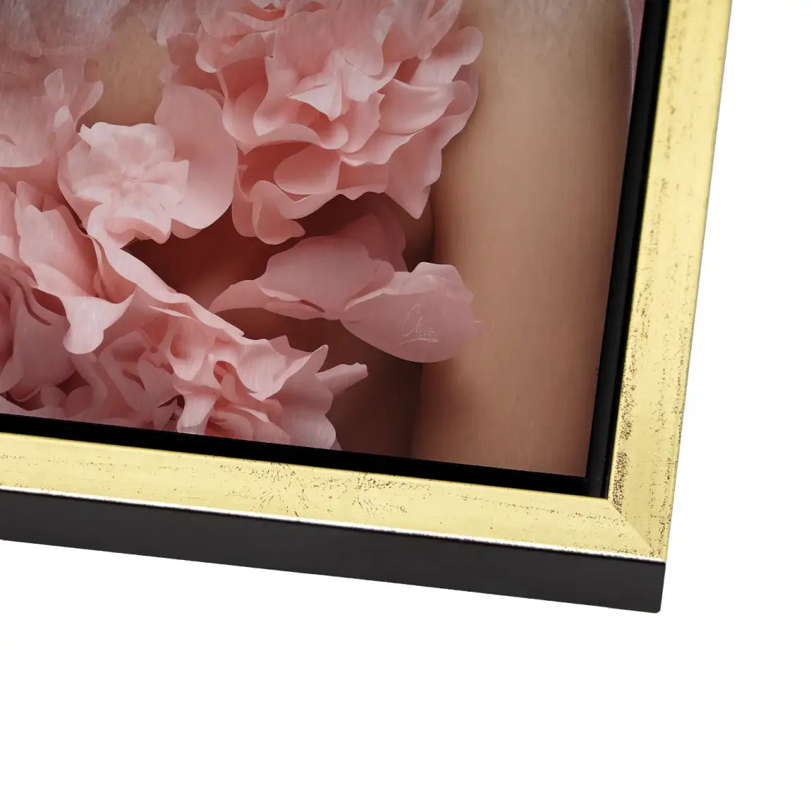 Rose Couture Alu Dibond Bild gebürstet