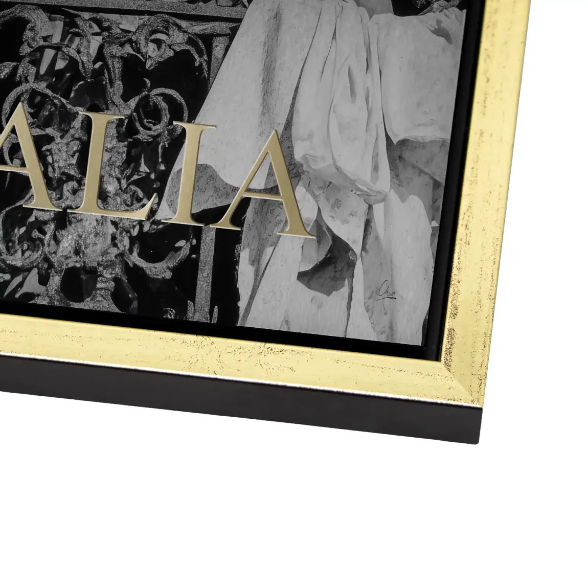 Bella Donna Noir Alu Dibond Bild gebürstet