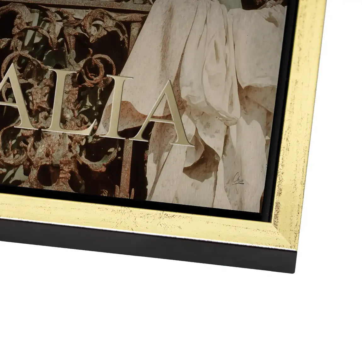 Bella Donna Alu Dibond Bild gebürstet