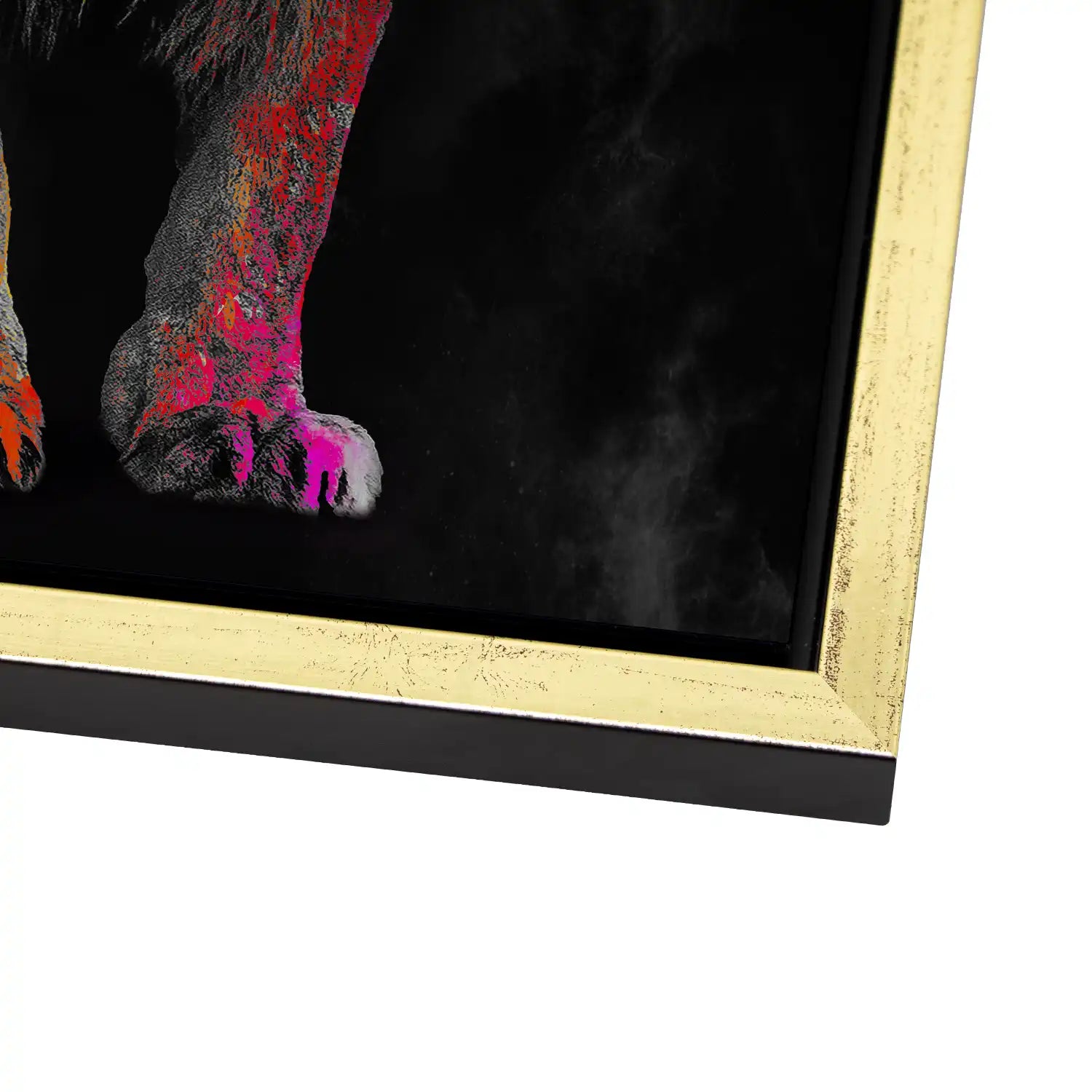 Lion Color Style AluDibond Gebürstet - INGALERIE