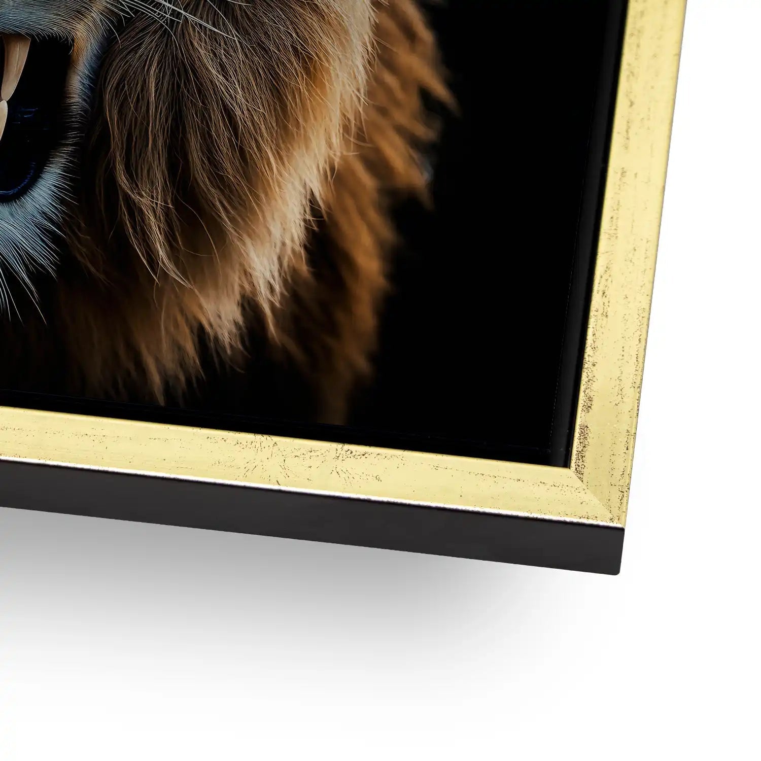 Angry Lion AluDibond Gebürstet INGALERIE