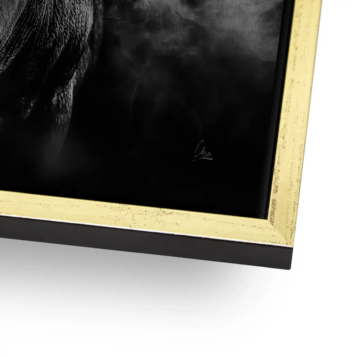 Black Bull Vision Alu Gebürstet