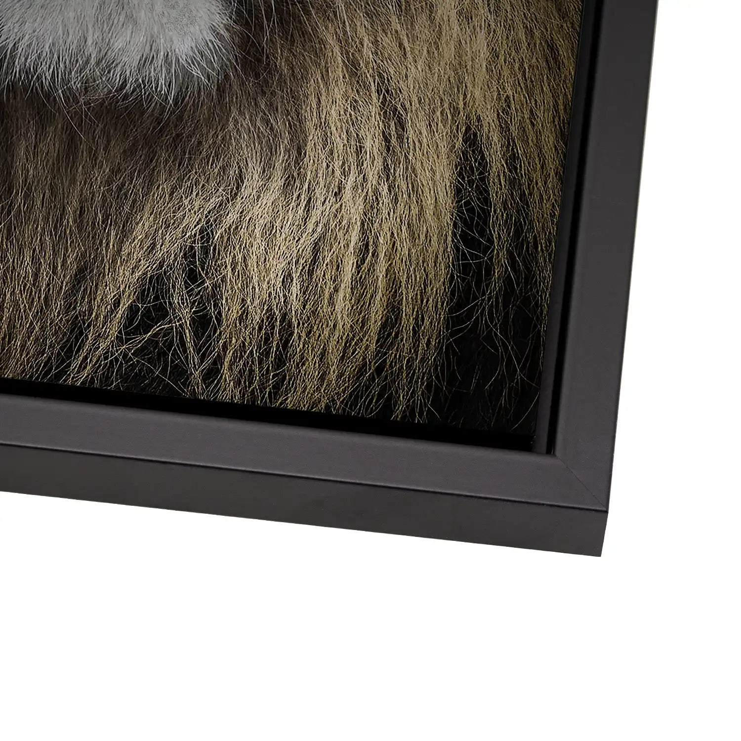 Lion Portrait AluDibond Gebürstet INGALERIE