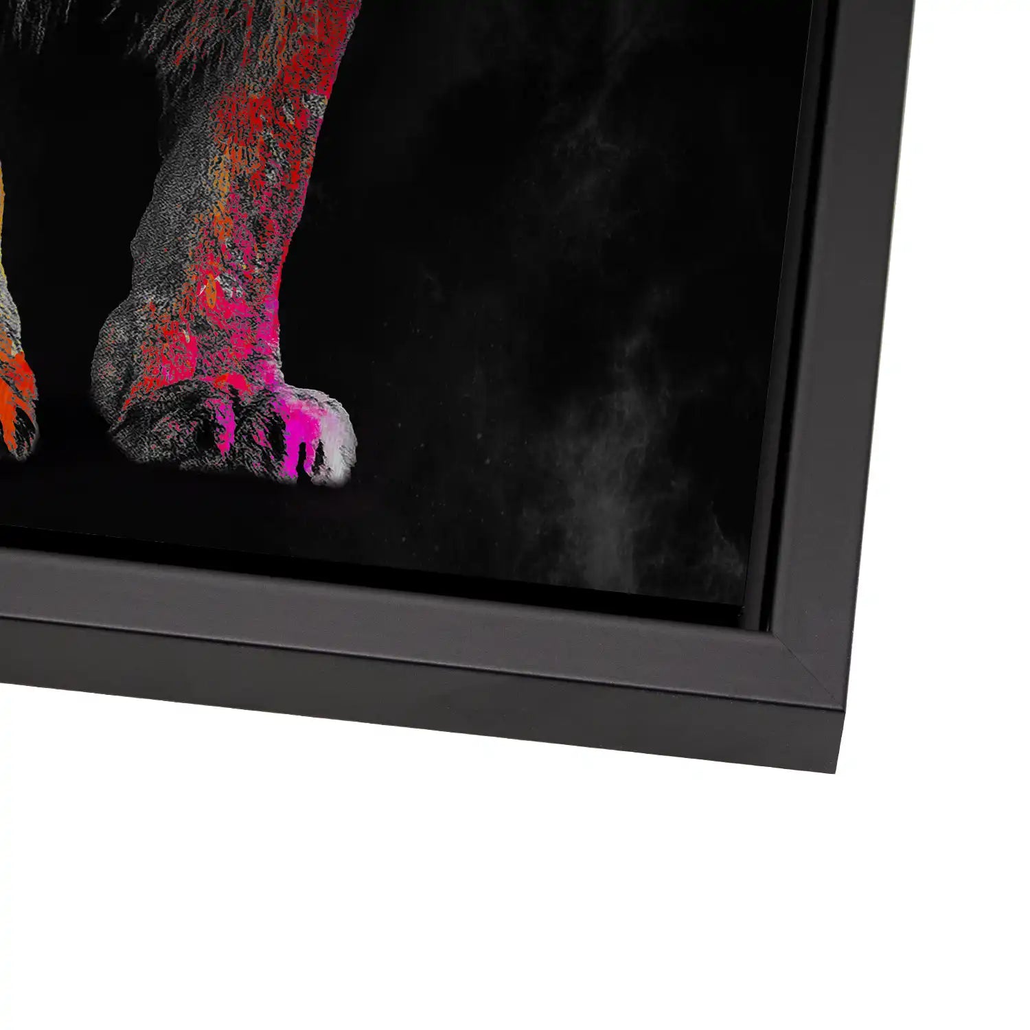 Lion Color Style AluDibond Gebürstet INGALERIE