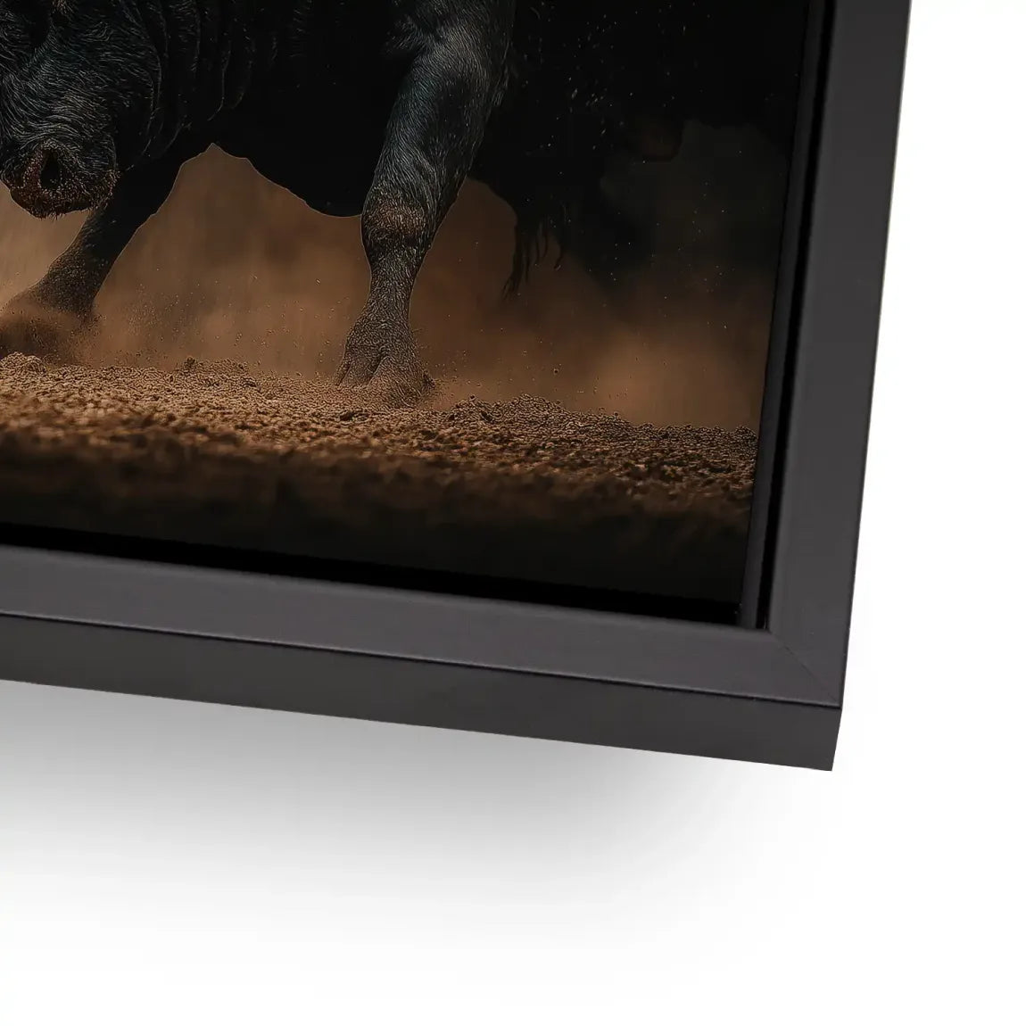 Bulls of Valor Alu Dibond Gebürstet