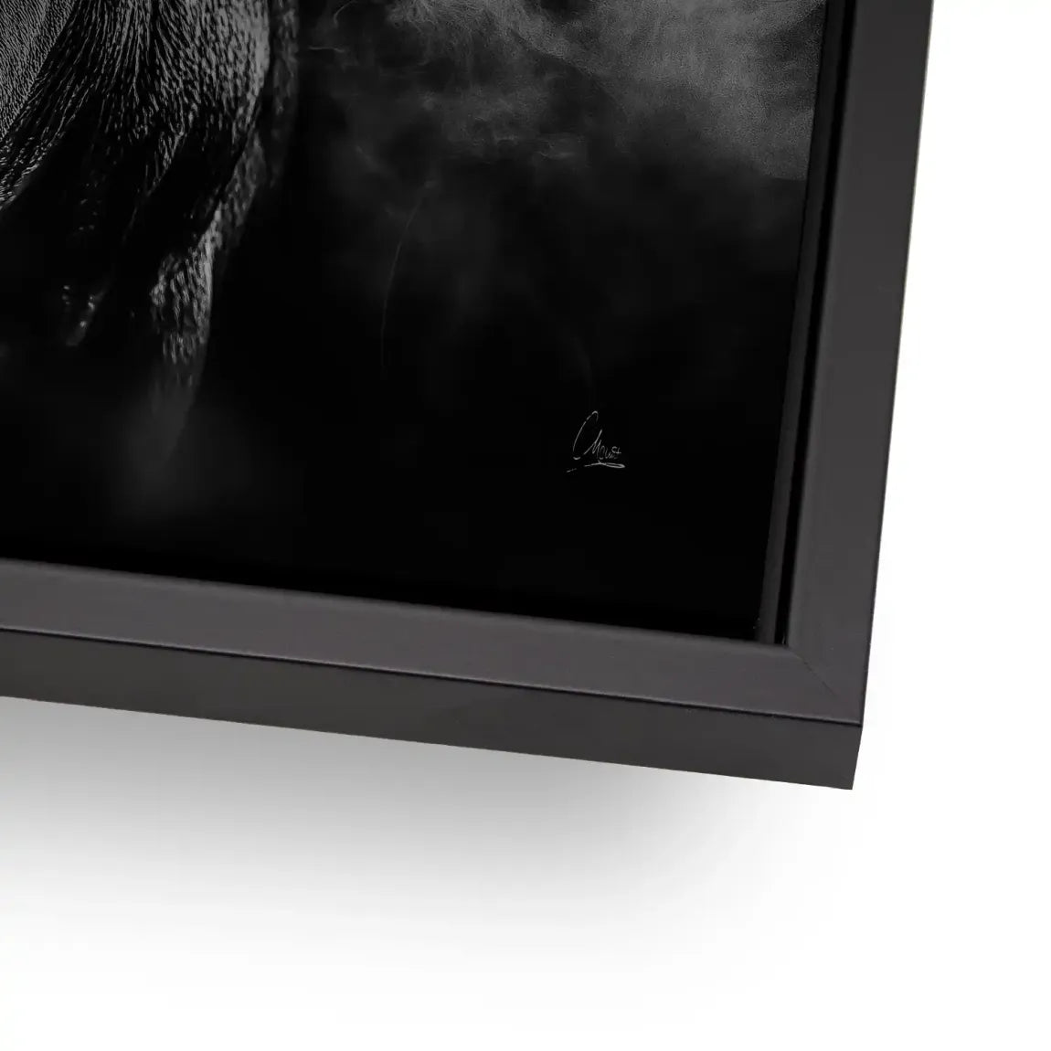 Black Bull Vision Alu Gebürstet