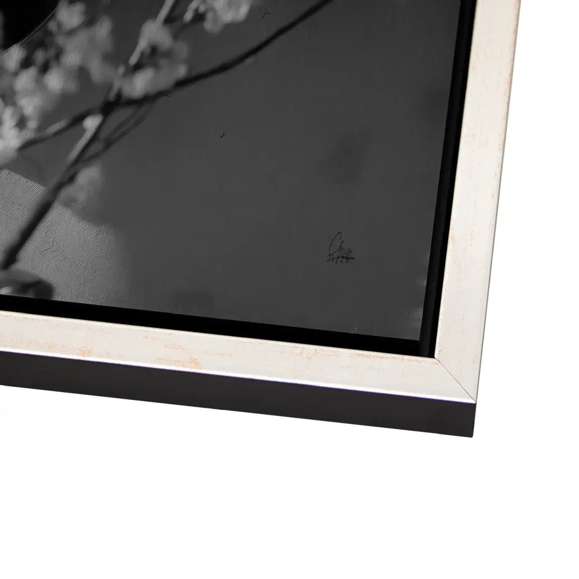 Velvet Muse Alu Gebürstet Bild