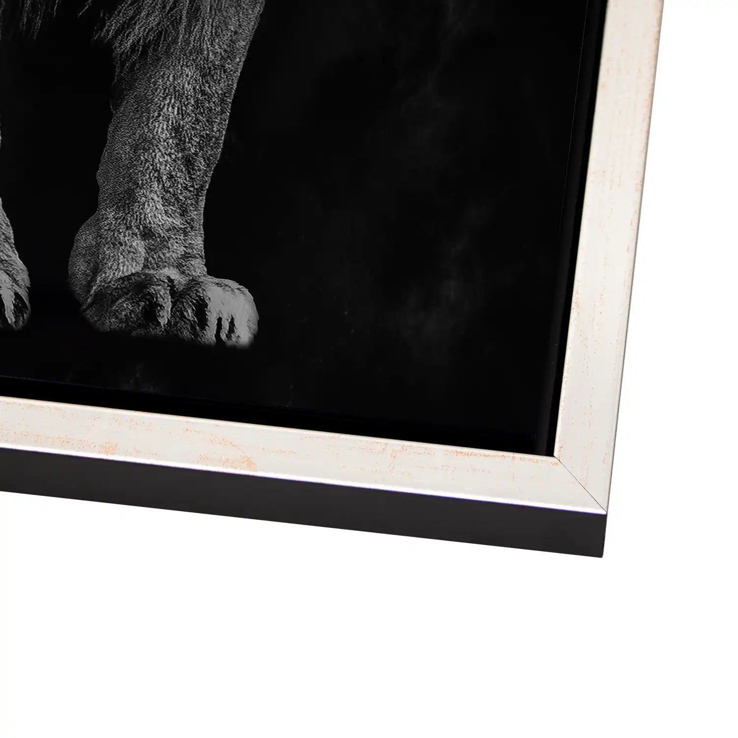 Lion Black Style AluDibond Gebürstet - INGALERIE
