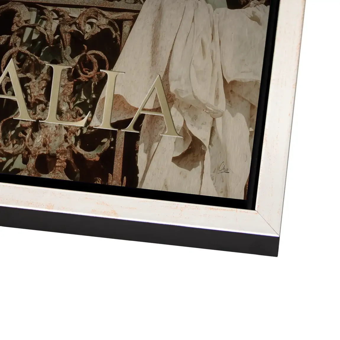 Bella Donna Alu Dibond Bild gebürstet