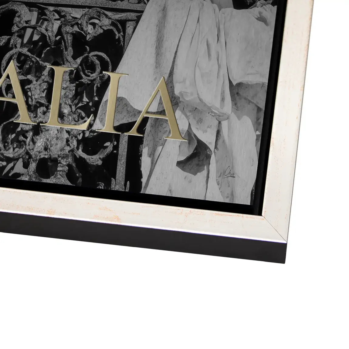 Bella Donna Noir Alu Dibond Bild gebürstet