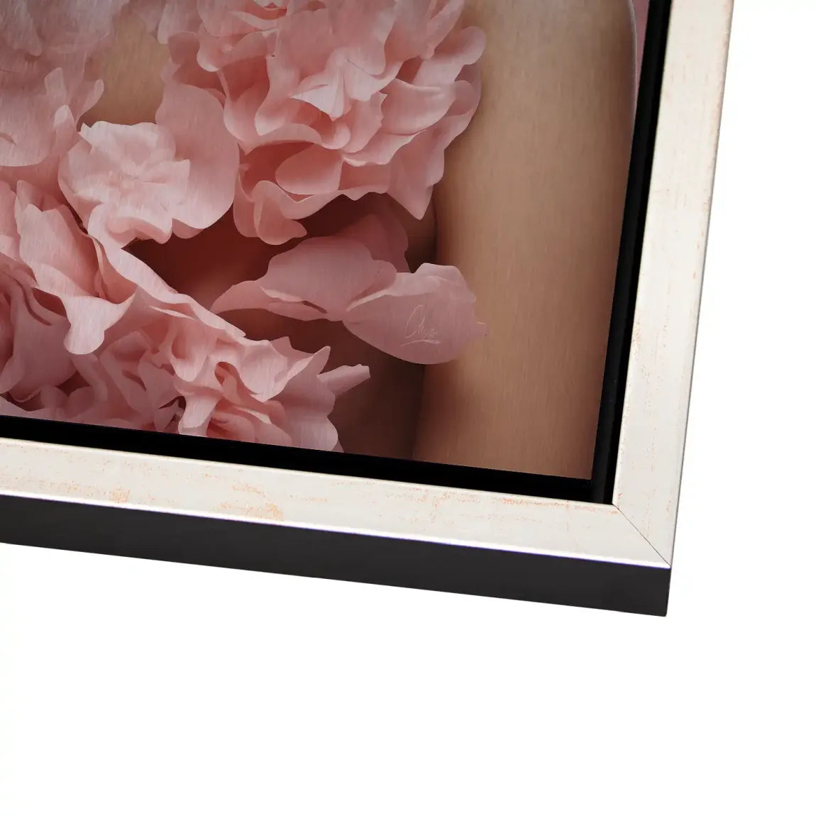 Rose Couture Alu Dibond Bild gebürstet