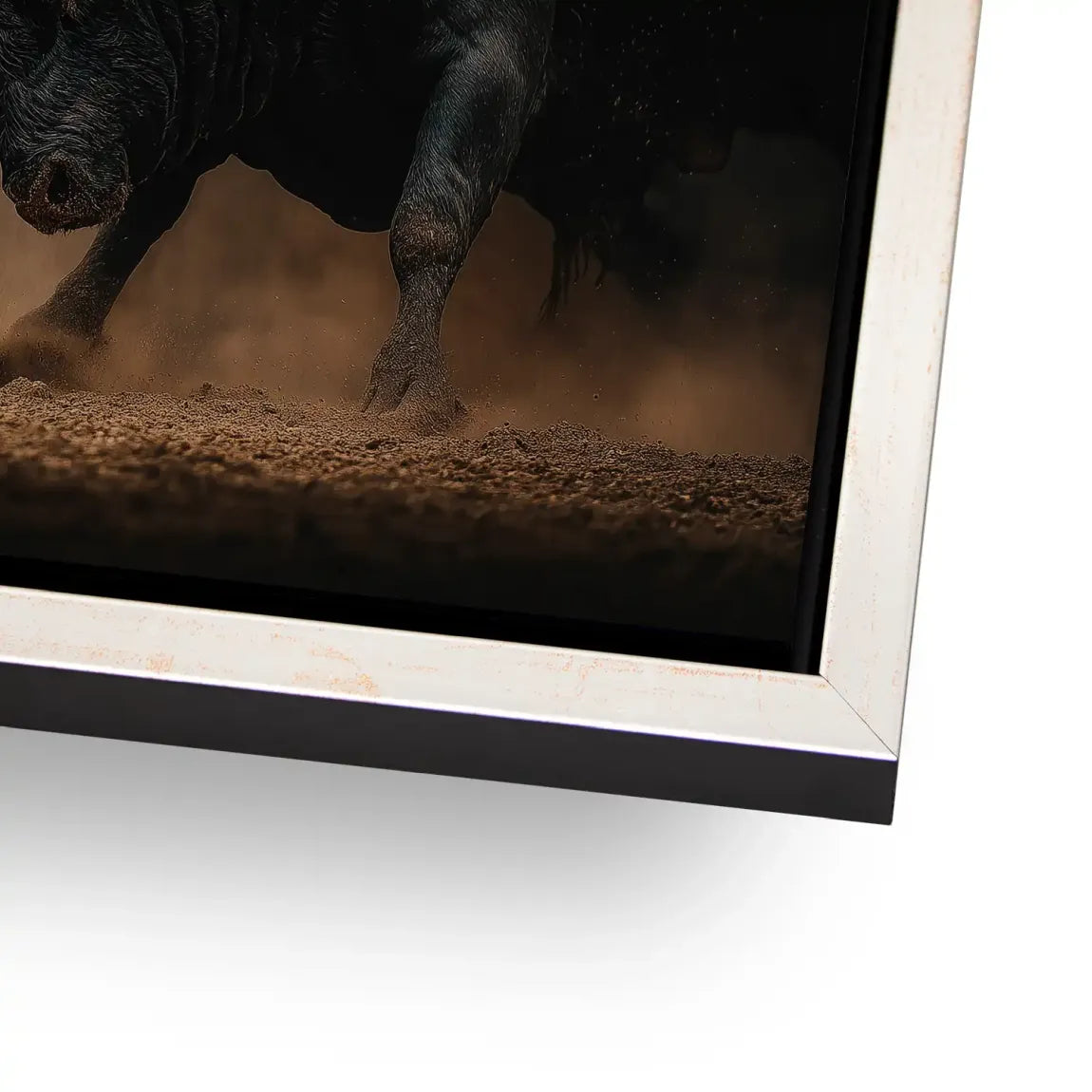 Bulls of Valor Alu Dibond Gebürstet