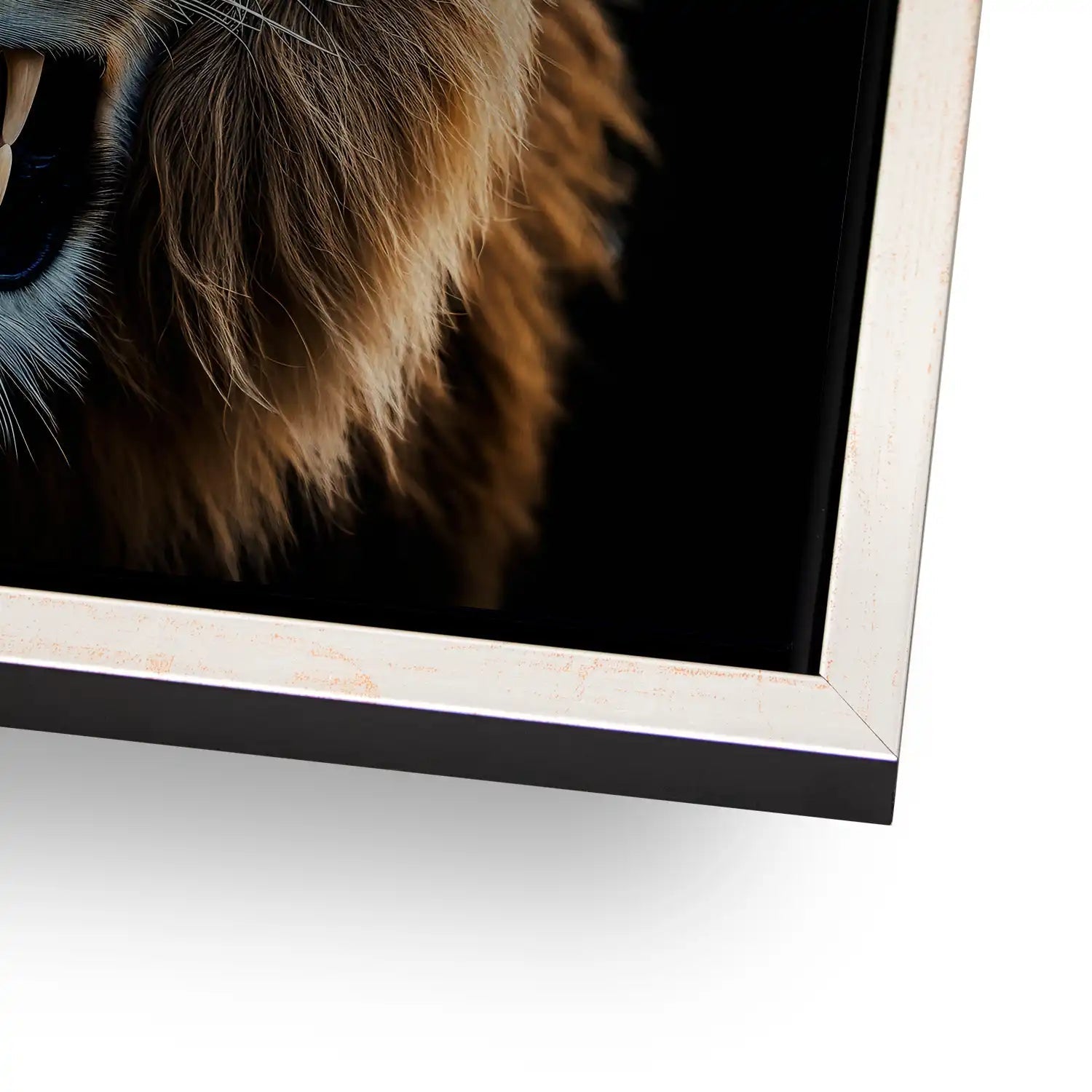 Angry Lion AluDibond Gebürstet - INGALERIE