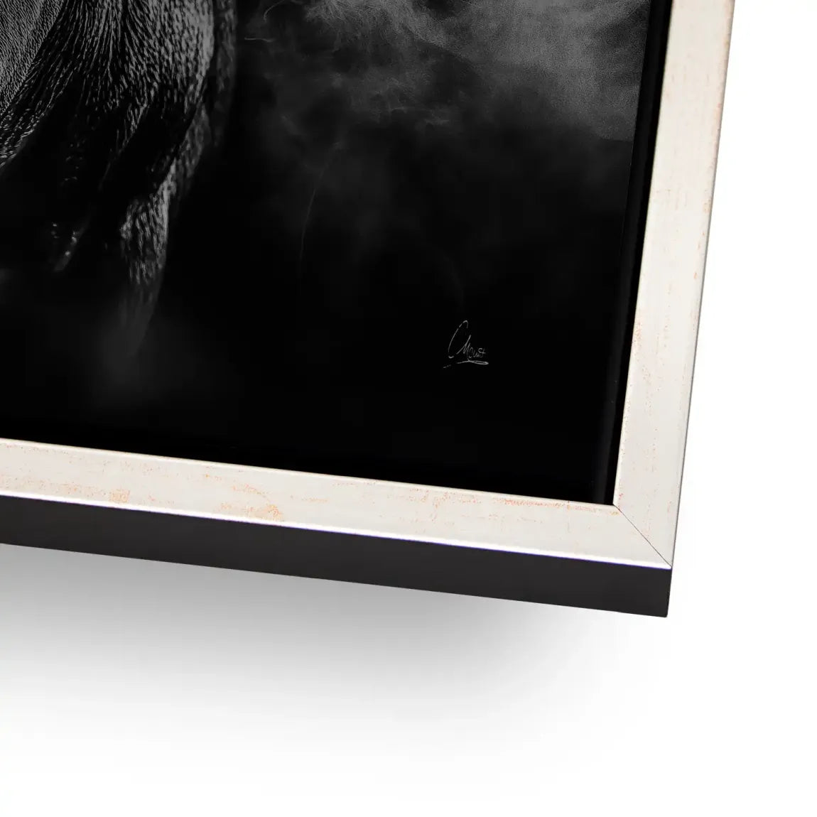 Black Bull Vision Alu Gebürstet