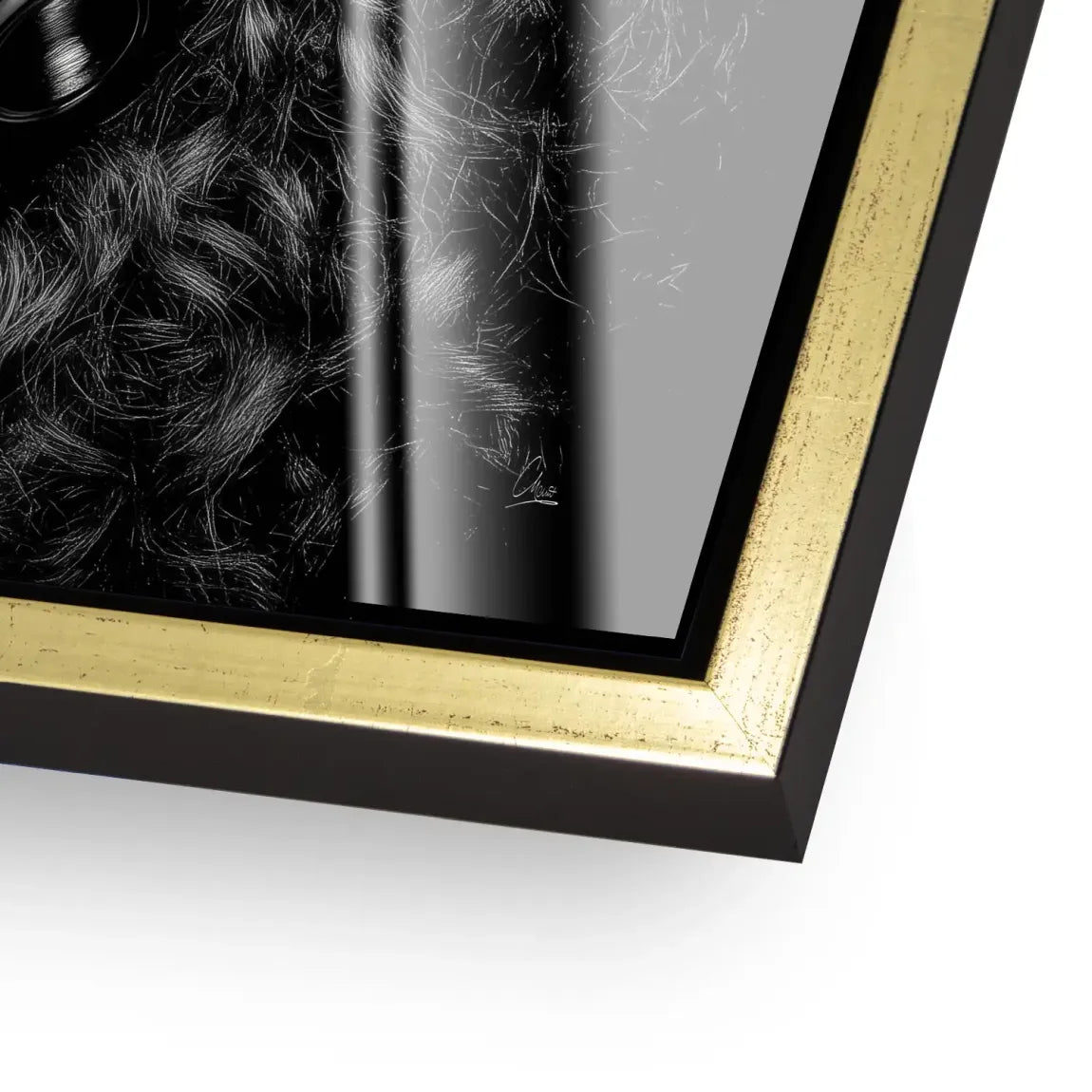 Midnight Harmony Acrylglas Bild