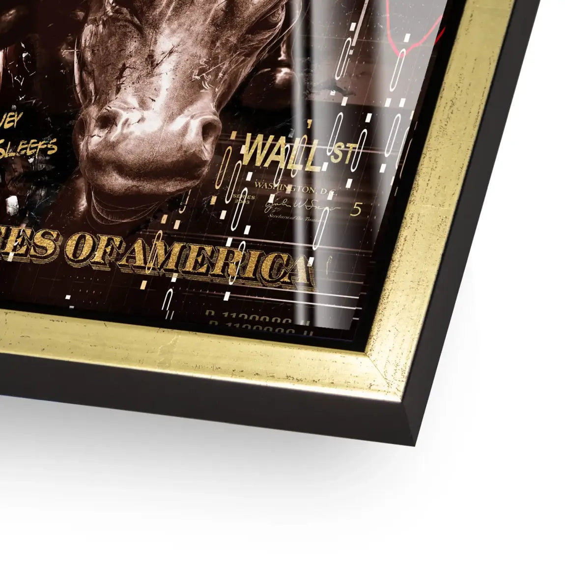 Wall Street Duck Acrylglasbild