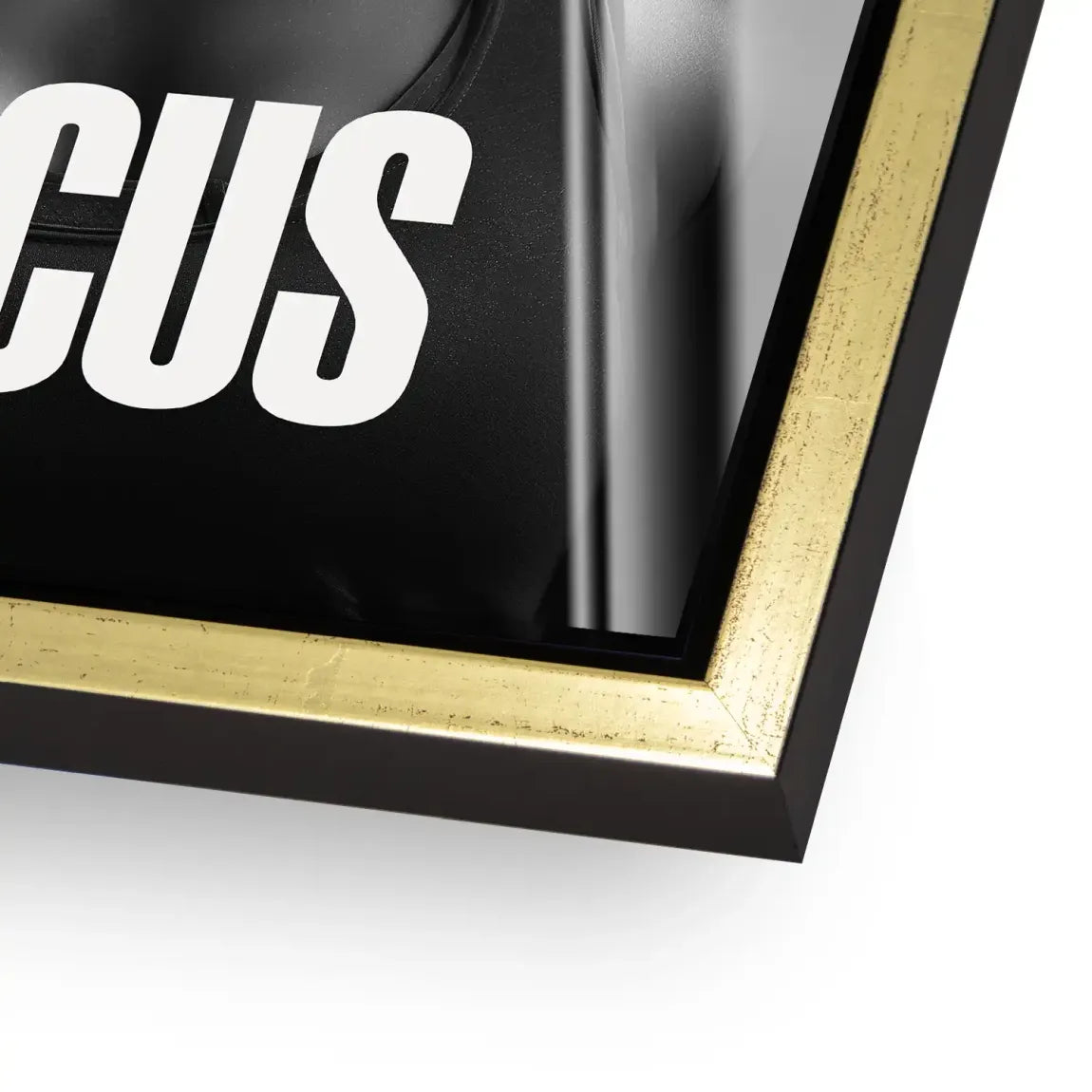 Focus Athletin Acrylglasbild