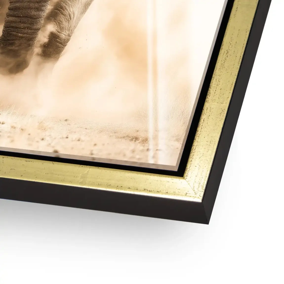 Emperor of the Savannah Acrylglasbild INGALERIE