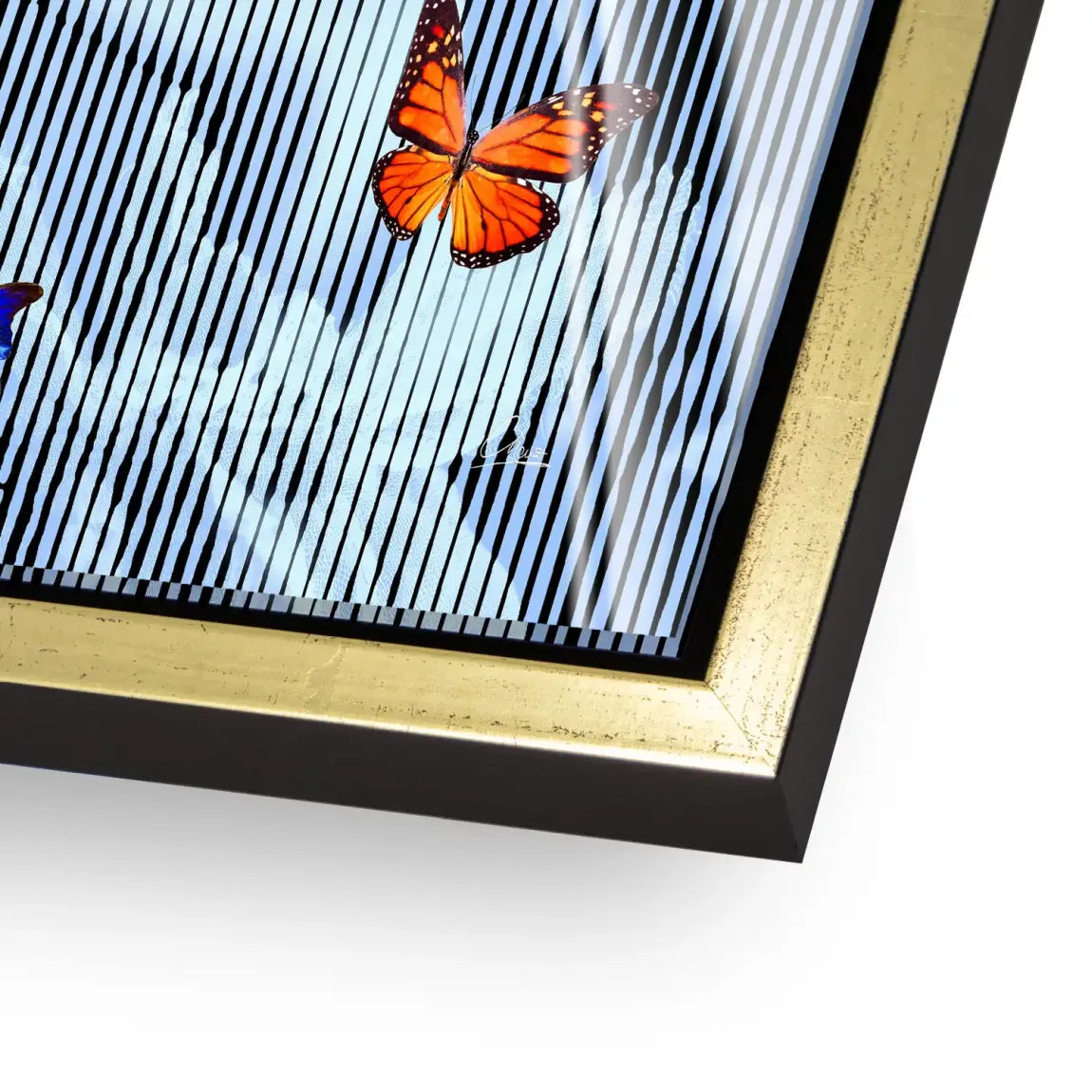 Flüstern der Schmetterlinge Acrylglasbild INGALERIE