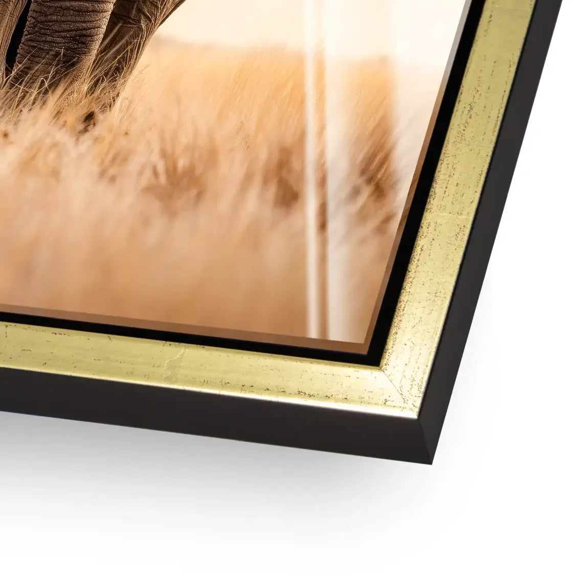 Savanne Elefant Acrylglasbild