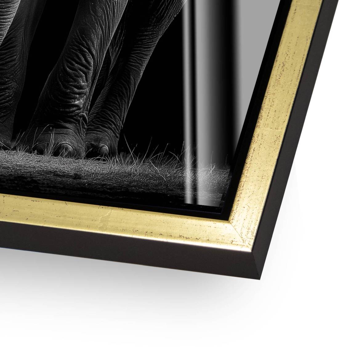 Black Elefant Acrylglasbild