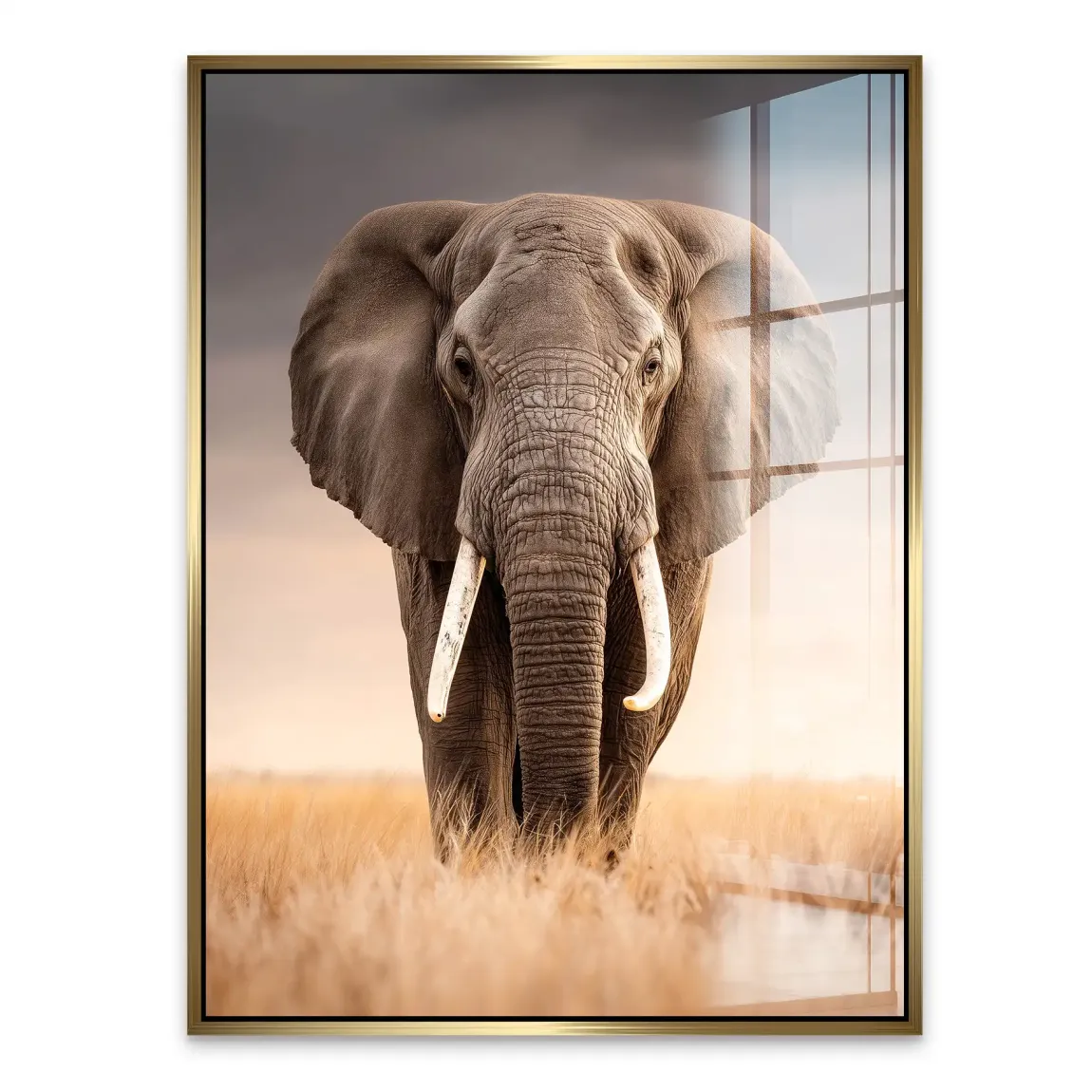 Savanne Elefant Acrylglasbild