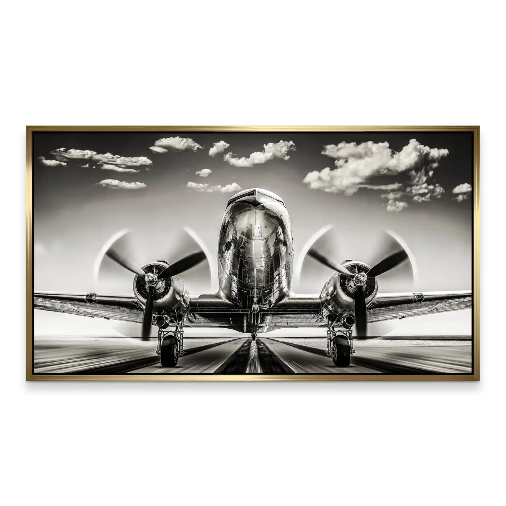 DC3 Take Off Flugzeug Aludibond Bild INGALERIE