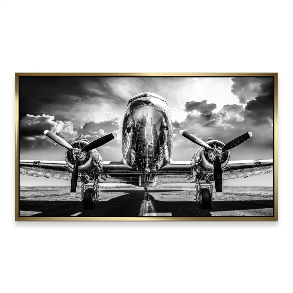 DC3 Flugzeug Aludibond Bild INGALERIE
