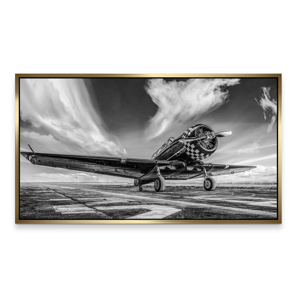 Retro Propeller Flugzeug Aludibond Bild INGALERIE