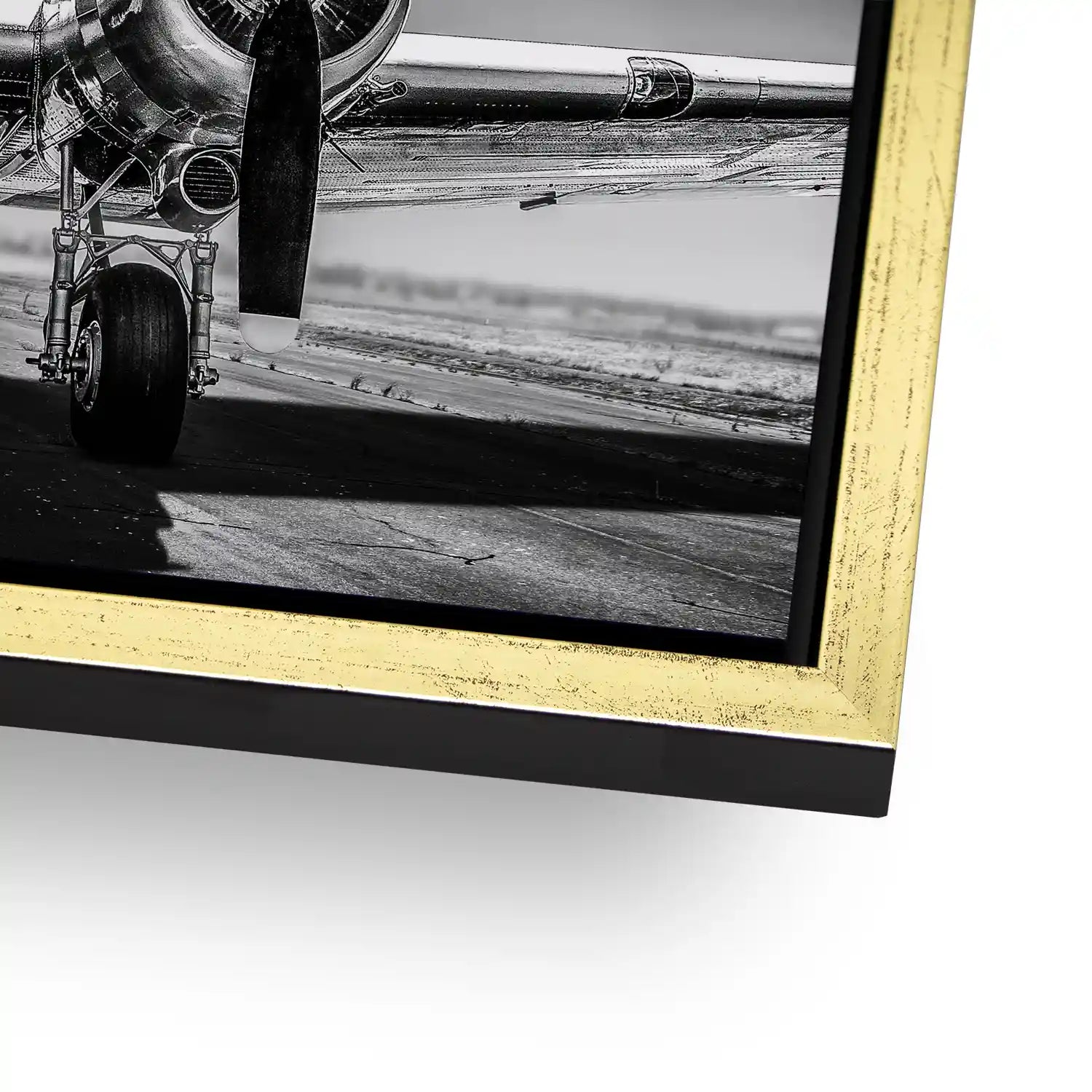 DC3 Flugzeug Aludibond Bild INGALERIE